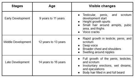 teenage tits|Stages of Puberty Explained in Pictures